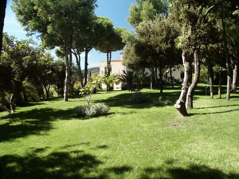 the garden